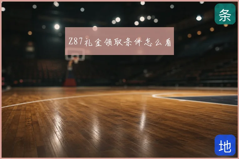 Z87礼金领取条件怎么看